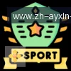 爱游戏体育官网 logo