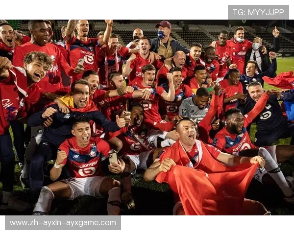 法甲外援的贡献分析及其对球队战绩的影响