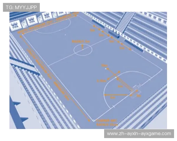 足球生态认证是否会影响球场在国际赛事中的申请资格